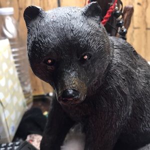 Meet your Posher, Ivan